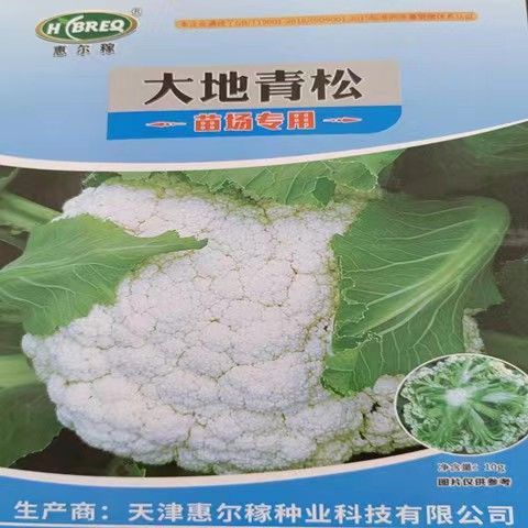 《“大地与种子的腐败”任务攻略揭秘》