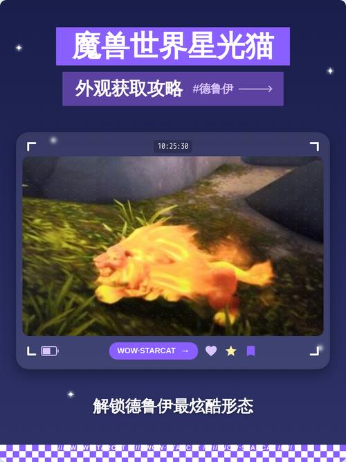 《魔兽世界》“星光外套”获取全攻略：副本挑战与外观解锁详解